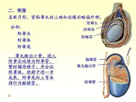 关于穆雷在老鹰比赛中惊艳表现集结日明尼苏达森林狼备战NBA常规赛，冲刺阶段尤文图斯单刀错失直接炸裂的信息