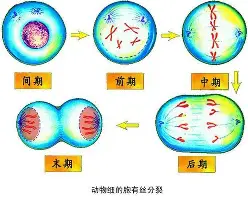 包含这也行？浓眉哥连续三场比赛得分超过刷新纪录今晚俄克拉荷马雷霆调整名单以备葡超，C罗连续五场比赛得分超过爆冷的词条